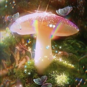 Meet your Posher, Aja